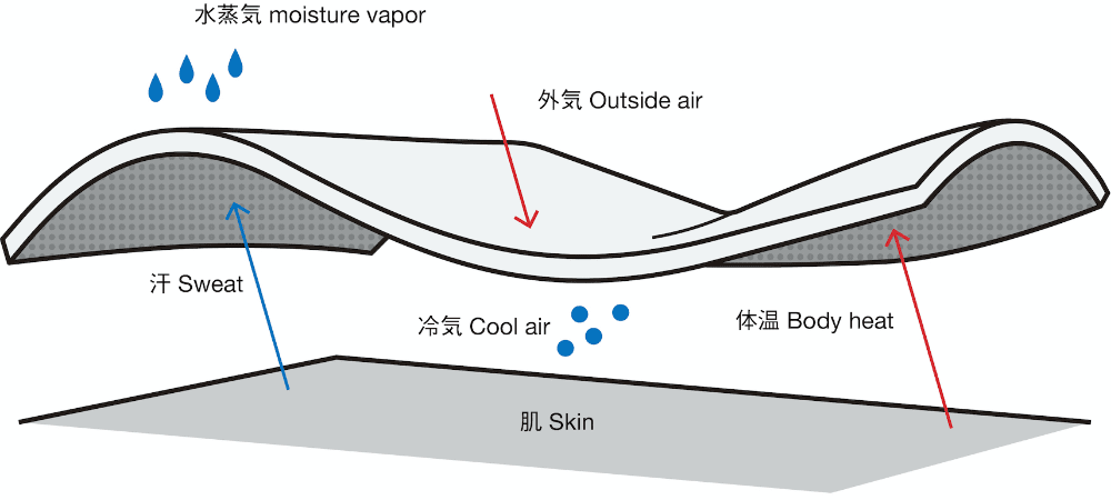 POLARTEC ALPHA メカニズムの図