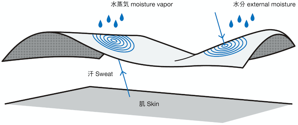 POLARTEC POWER DRY メカニズムの図